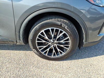 2023 Ford Escape PHEV